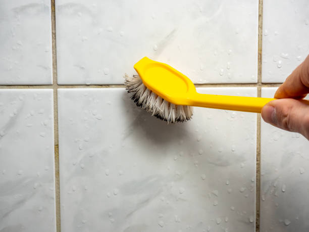 Best Mold Removal Company Near Me  in Battlement Mesa, CO