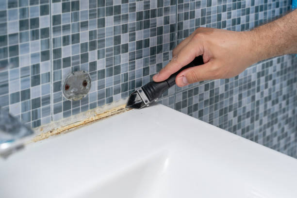 Trusted Battlement Mesa, CO Mold Removal Experts